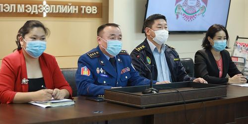 Эмээлтийн товчоогоор есөн тарвага нэвтрүүлэх гэсэн зөрчлийг илрүүлжээ